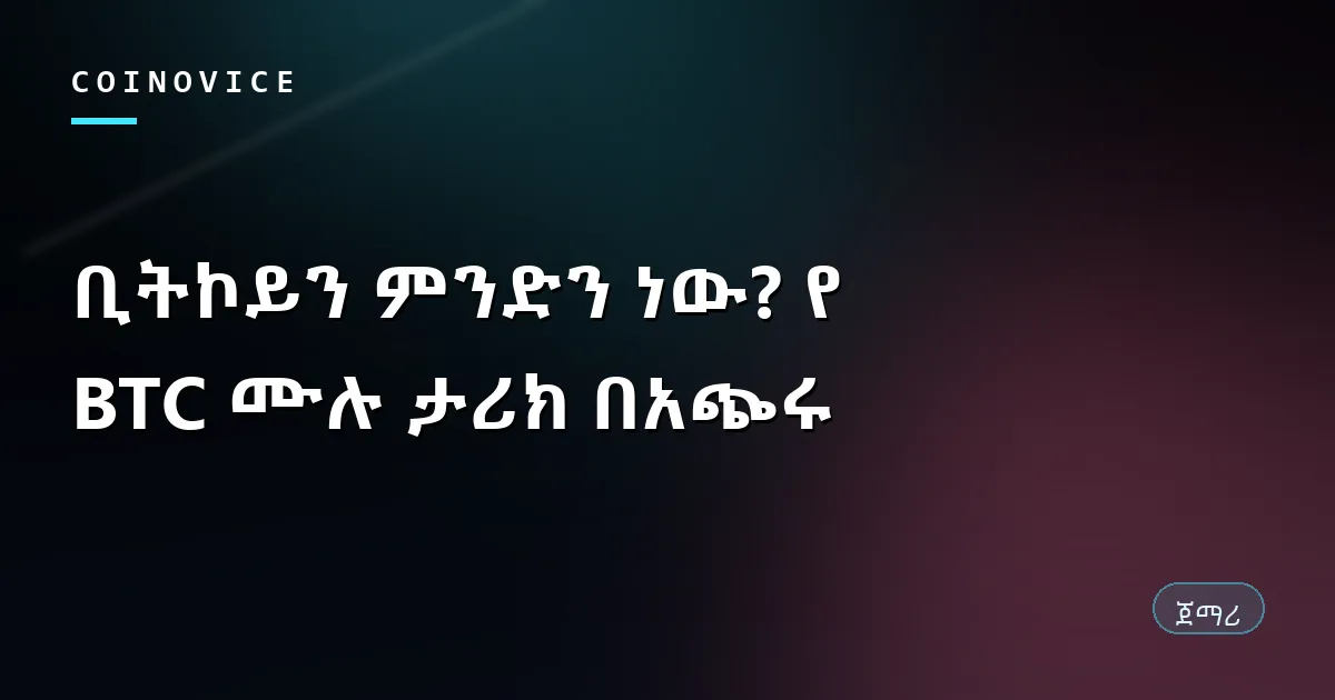 የቢትኮይን ምልክትና የብሎክቼይን አውታረ መረብ የሚያሳይ የጽሁፍ ሽፋን